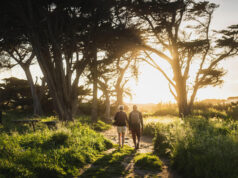 Reforestación en Colombia: así avanzan las empresas con su compromiso sostenible