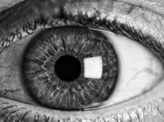 El futuro de la salud visual: avances científicos permiten tratar enfermedades de la retina con menor carga para el paciente y el cuidador