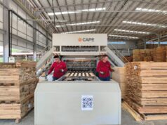 Empleo formal en las regiones: cómo la industria maderera impulsa oportunidades fuera de las capitales